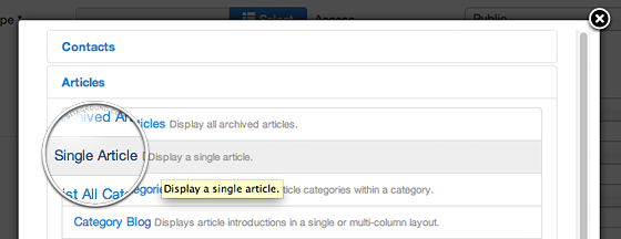 single article